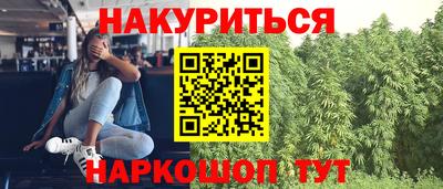 сатива Кунгур